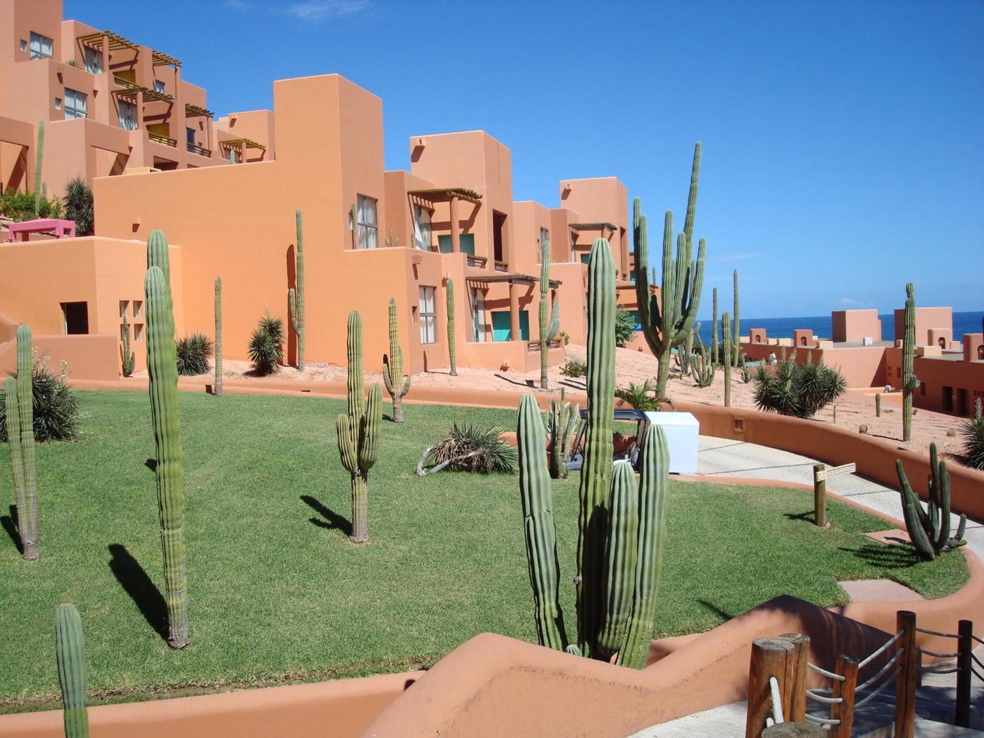 Club Regina Los Cabo Timeshare Rental San José del Cabo Zewnętrze zdjęcie